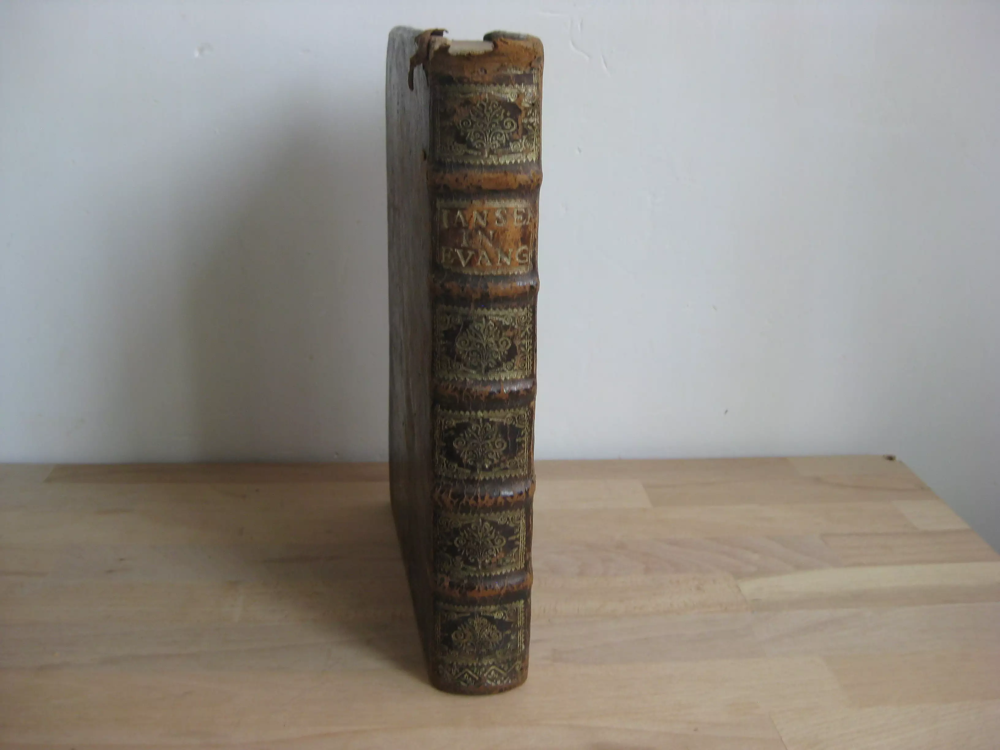 Tretateuchus sive commentarius in sancta Jesu-Christi evangelia