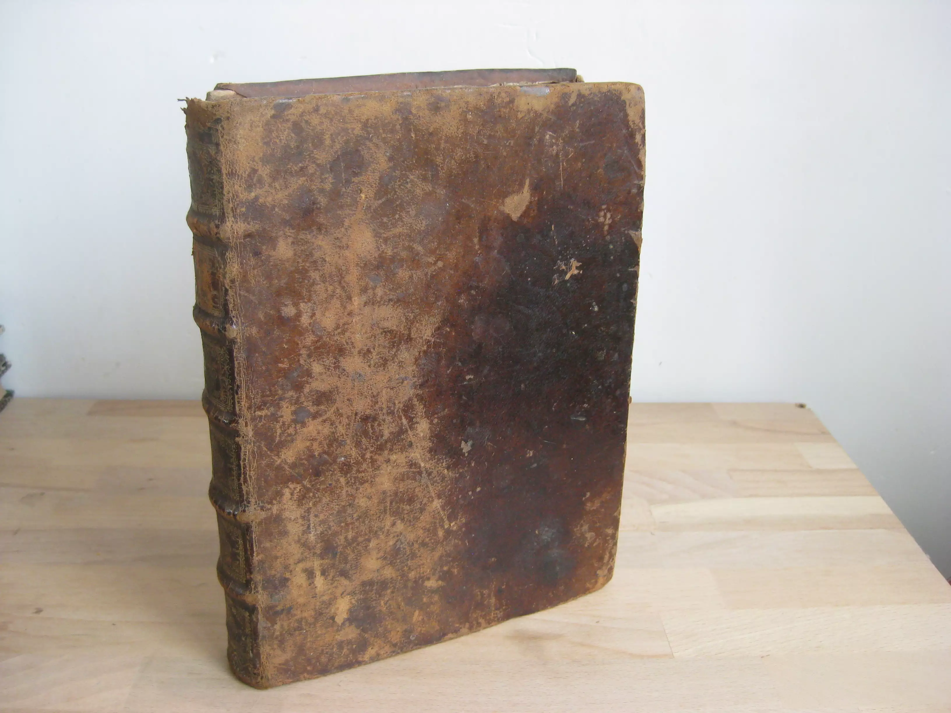 Tretateuchus sive commentarius in sancta Jesu-Christi evangelia