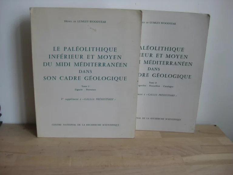 Le Paléolithique inférieur et moyen du Midi méditerranéen dans son cadre géologique Le Paléolithique inférieur et moyen du Midi méditerranéen dans son cadre géologique