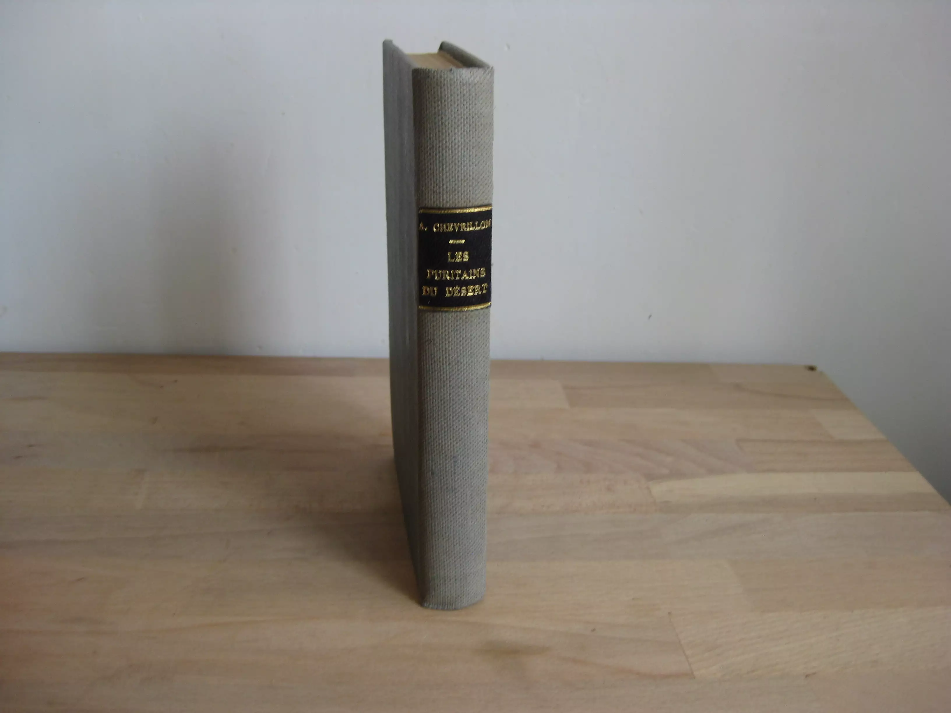 Les puritains du désert (sud-Algérien) - André Chevrillon