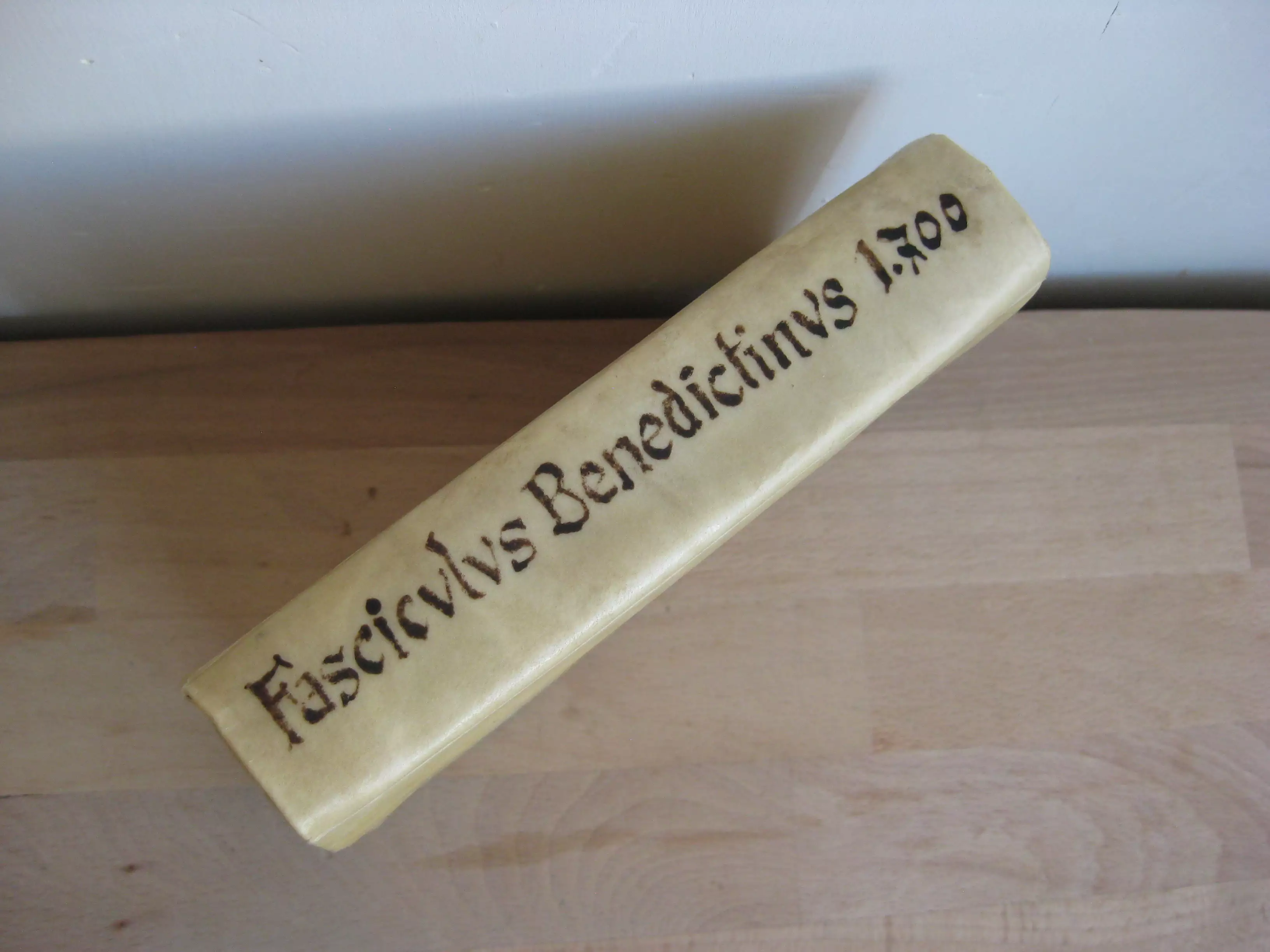 Fasciculus benedictinus alumnis Sanctissimi Patris, ac patriarchae Benedicti, apprimè necessarius.