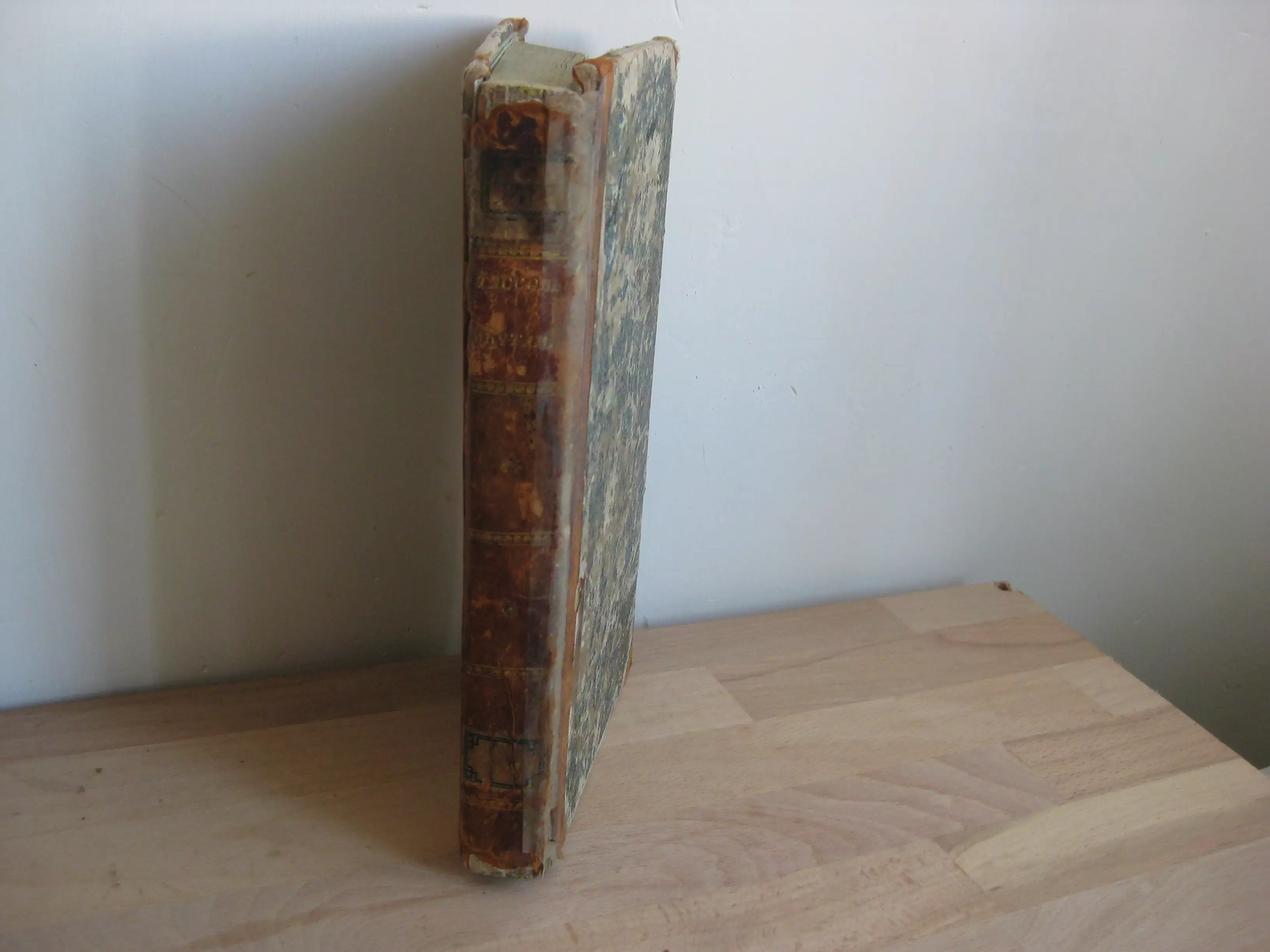 Le veglie di Tasso / ТАCCOВBbI МЕЧТАНІЯ [BDENIYA TASSO], bilingue italien – russe
