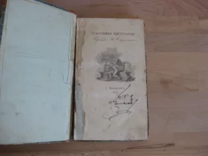 Le veglie di Tasso / ТАCCOВBbI МЕЧТАНІЯ [BDENIYA TASSO], bilingue italien – russe