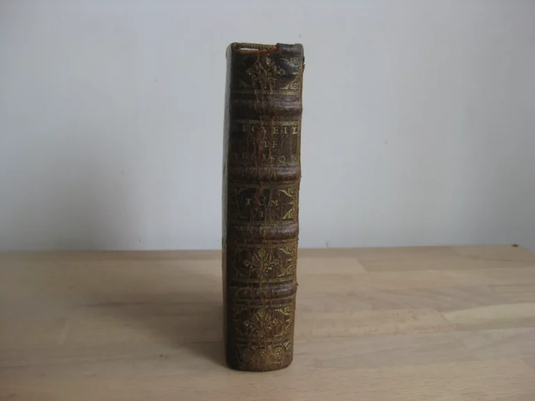 Recueil de diverses oraisons funèbres, harangues, discours et autres pièces d'éloquence des plus célèbres auteurs de ce temps Recueil de diverses oraisons funèbres, harangues, discours et autres pièces d'éloquence des plus célèbres auteurs de ce temps