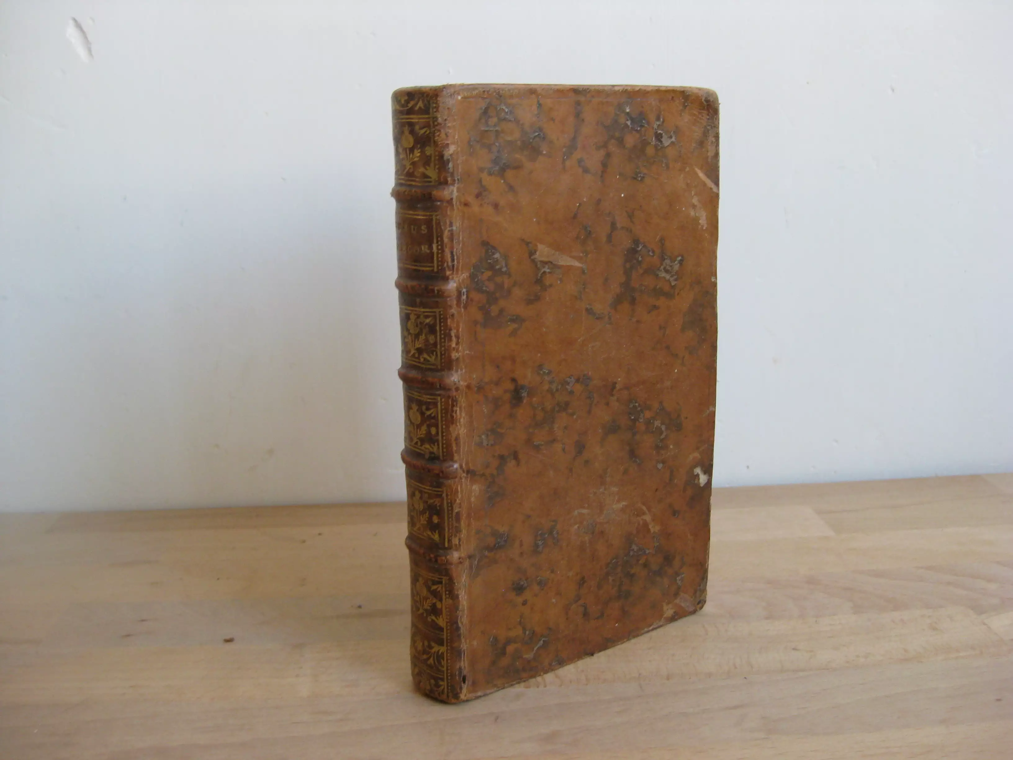 Lusus Poetici Allegorici Sive Elegiae Oblectandis Animis Et Moribus