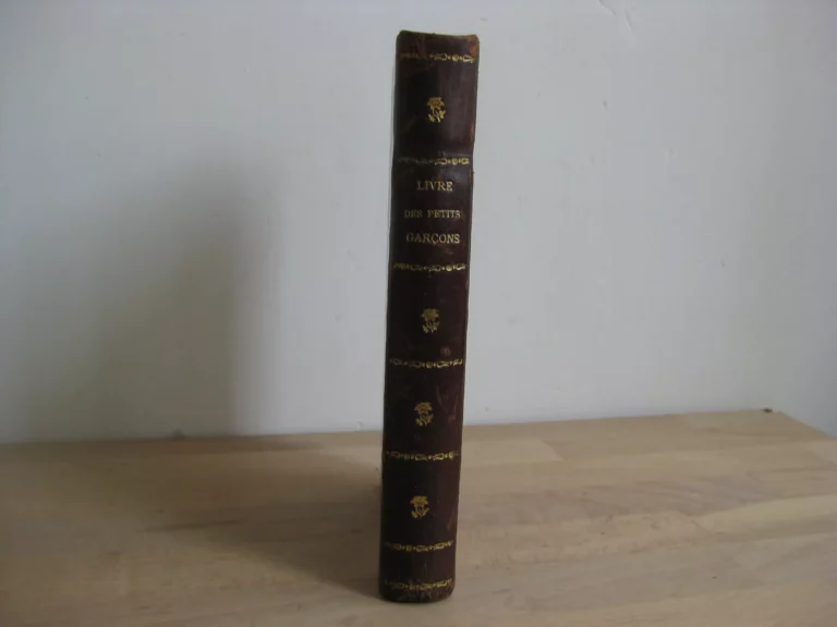 Le livre des petits garçons. Recueil de monologues Le livre des petits garçons. Recueil de monologues
