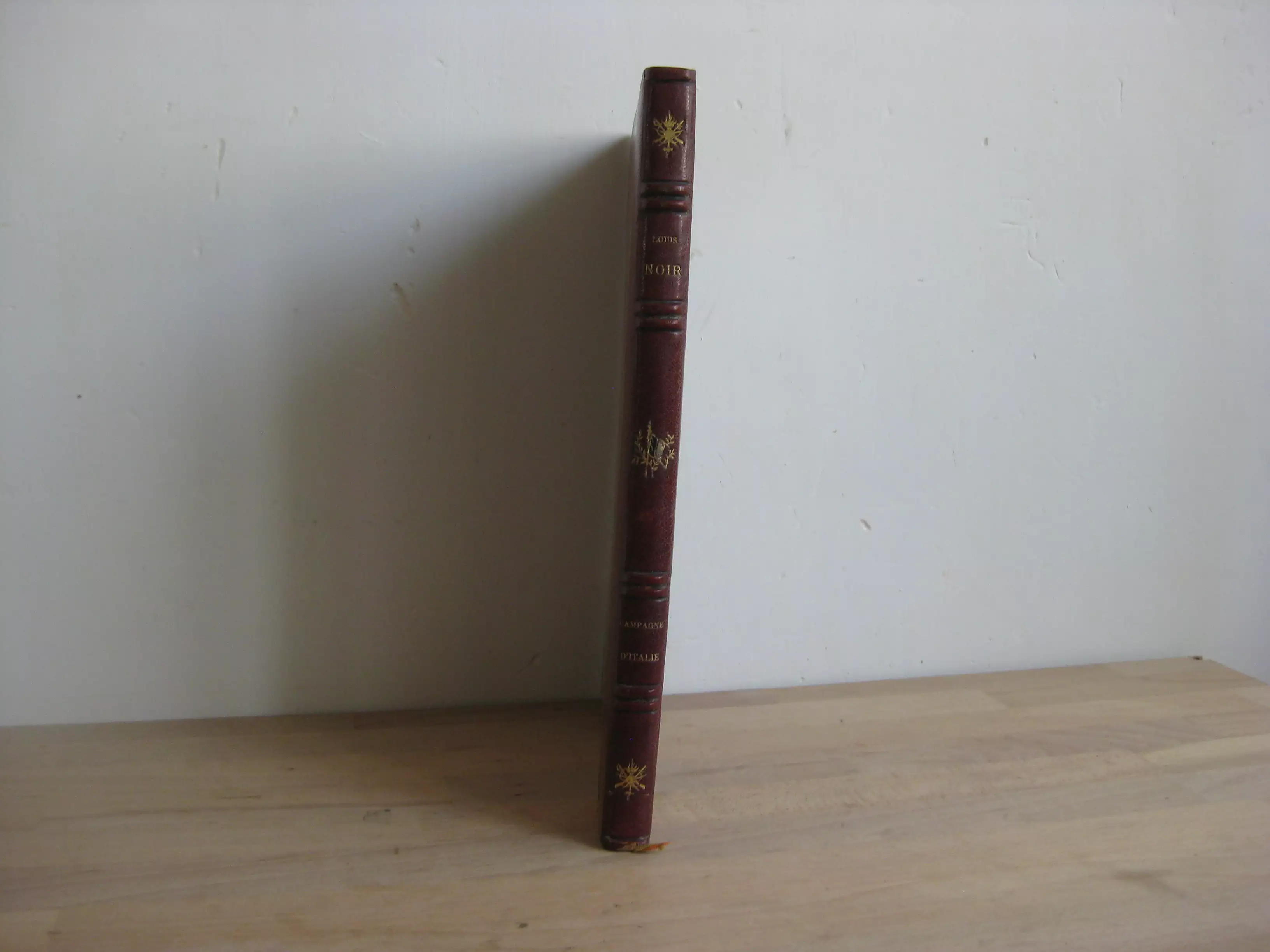 Campagne d’Italie. Histoire des guerres de mon temps, Louis Noir [Louis Étienne Salmon]